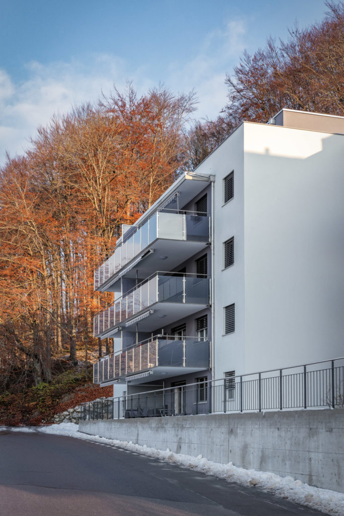 Réalisation PPE La Forge à Chatel-St-Denis - DT Concept